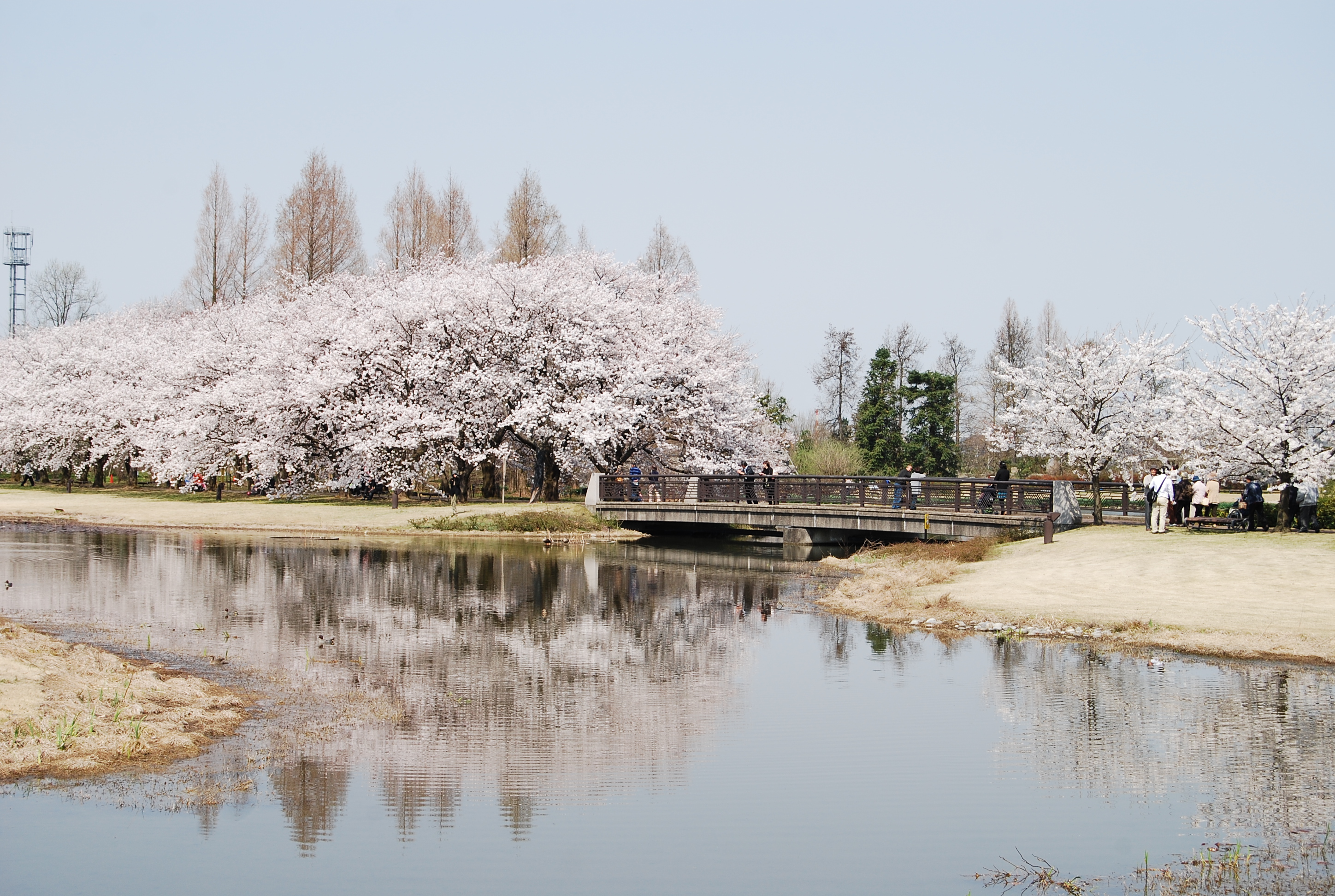 富山県中央植物園 富山フィルムコミッション