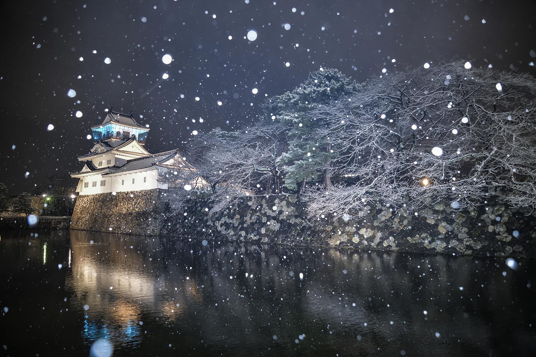 雪が降る富山城