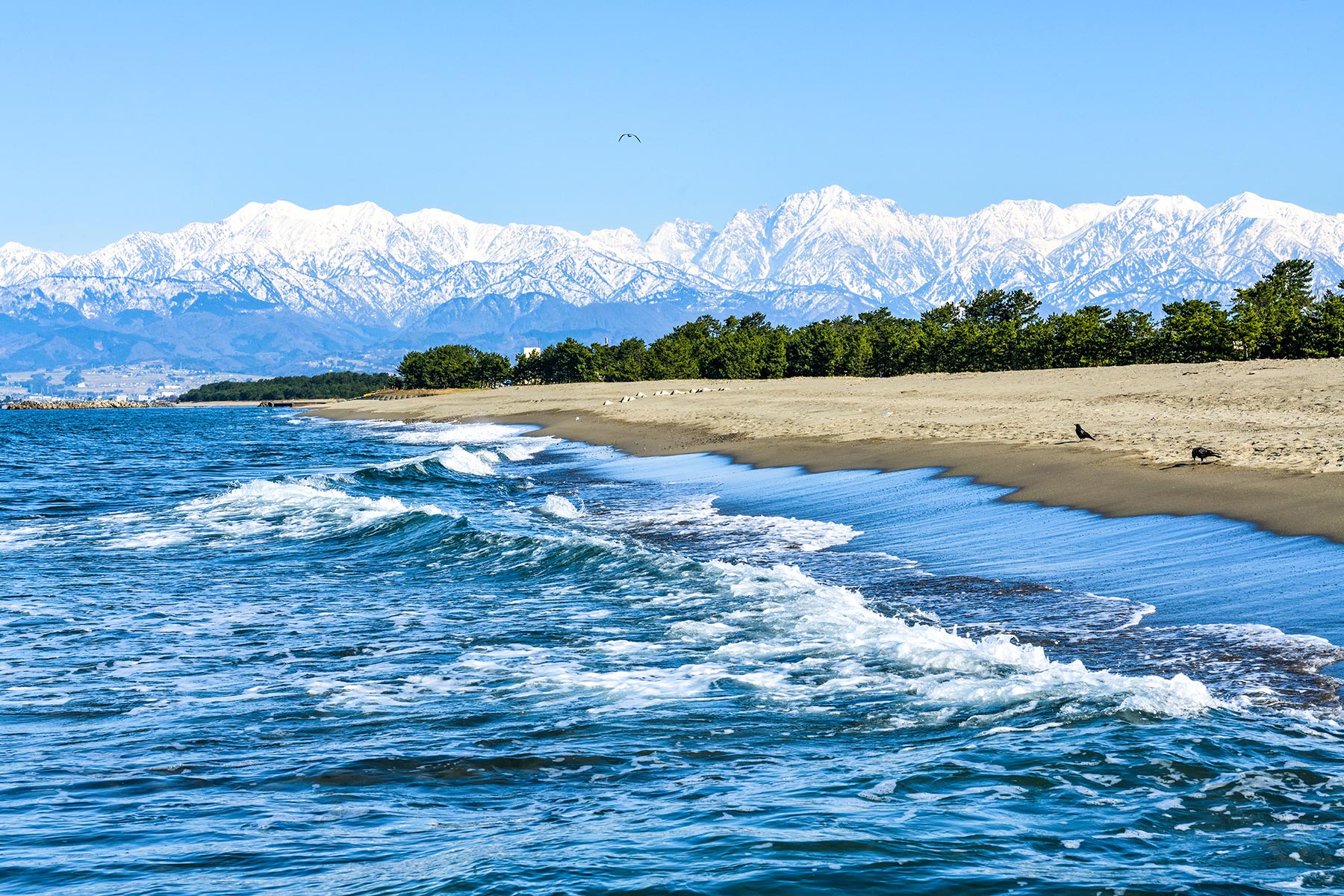 岩瀬浜と立山連峰