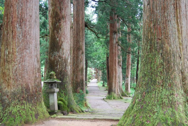 芦峅寺雄山神社