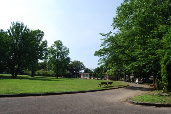 公園中央の芝生広場