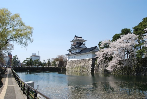 お堀に映る富山城と桜